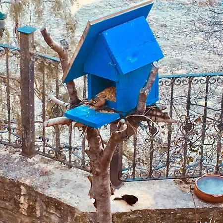 Lantställe El Covanchon Prádena